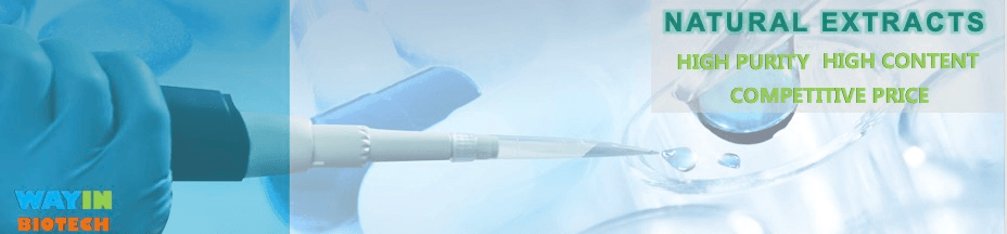 成都维盈合成生物科技有限责任公司