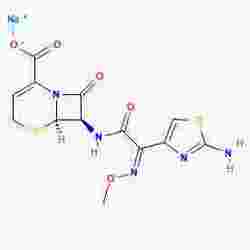 Ceftizoxime Sodium for Injection 注射用头孢唑肟钠