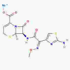 Ceftizoxime Sodium for Injection 注射用头孢唑肟钠