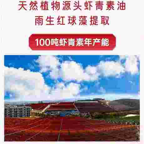 虾青素油