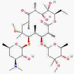 Clarithromycin Dispersible Tablets克拉霉素分散片