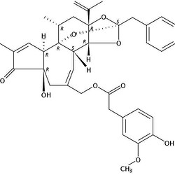 Aktinpharm®  树脂毒素 57444-62-9