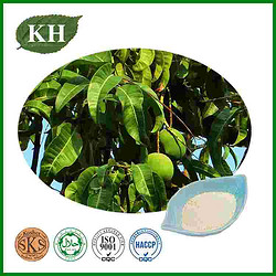 Mango Leaf Extract Powder Mangiferin