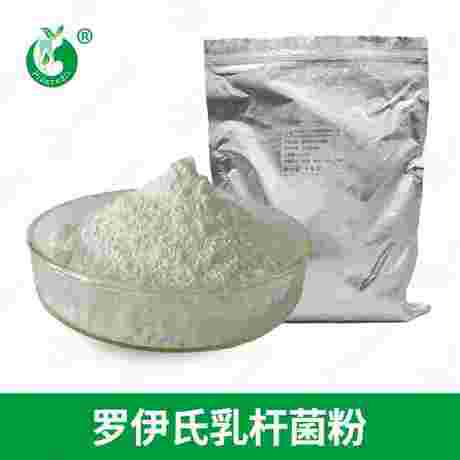 罗伊氏乳杆菌粉