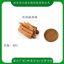 肉桂提取物  多酚30%