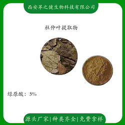 杜仲叶提取物  绿原酸5%
