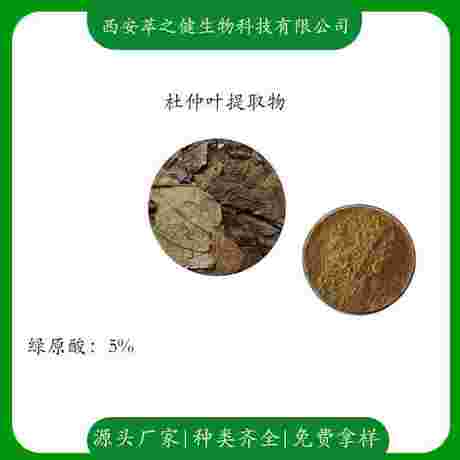 杜仲叶提取物  绿原酸5%