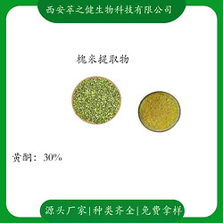 槐米提取物   黄酮30%