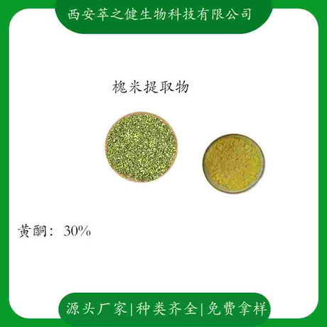 槐米提取物   黄酮30%
