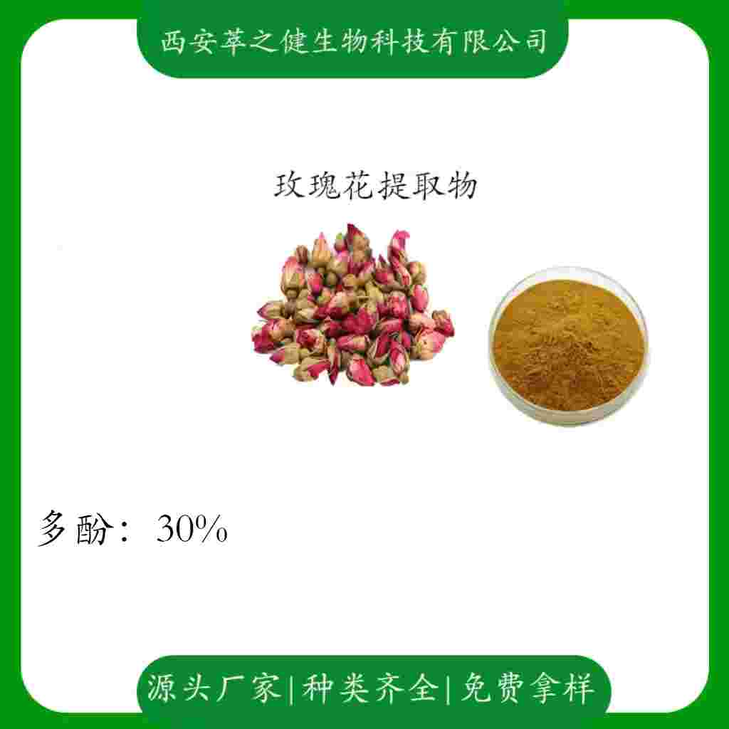 玫瑰花提取物   多酚30%