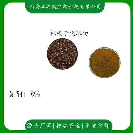 枳椇子提取物    黄酮8%