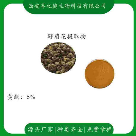 野菊花提取物   黄酮5%