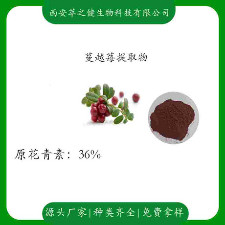 蔓越莓提取物    原花青素36%