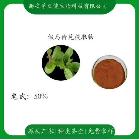 假马齿苋提取物   皂甙50%
