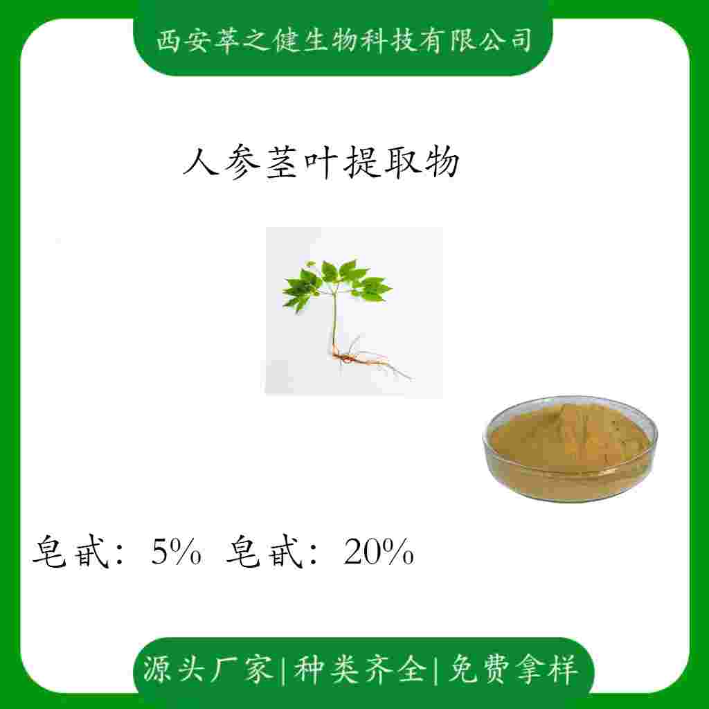 人参茎叶提取物    皂甙5%    皂甙20%