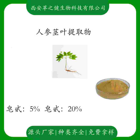 人参茎叶提取物    皂甙5%    皂甙20%