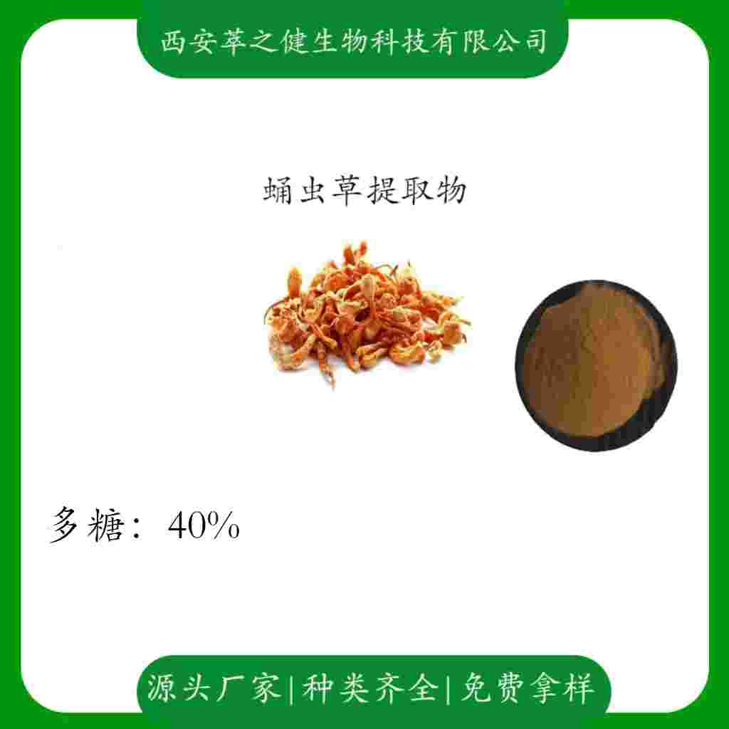 蛹蟲草提取物    多糖40%