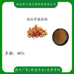 蛹蟲草提取物    多糖40%