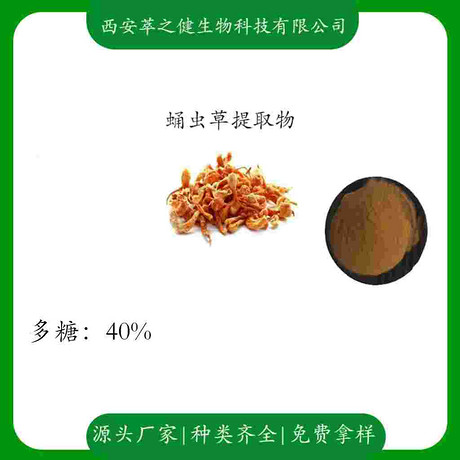 蛹虫草提取物    多糖40%