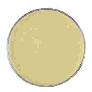 Glucose Oxidase Enzyme