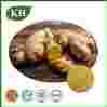 Ginger Extract Powder
