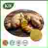 Ginger Extract Powder