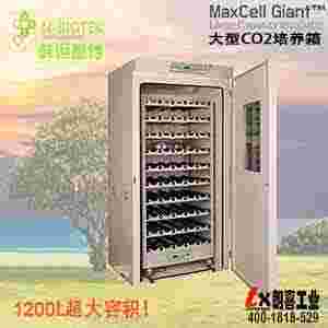 韩国恩博MAXCell Gaint大型CO2培养箱