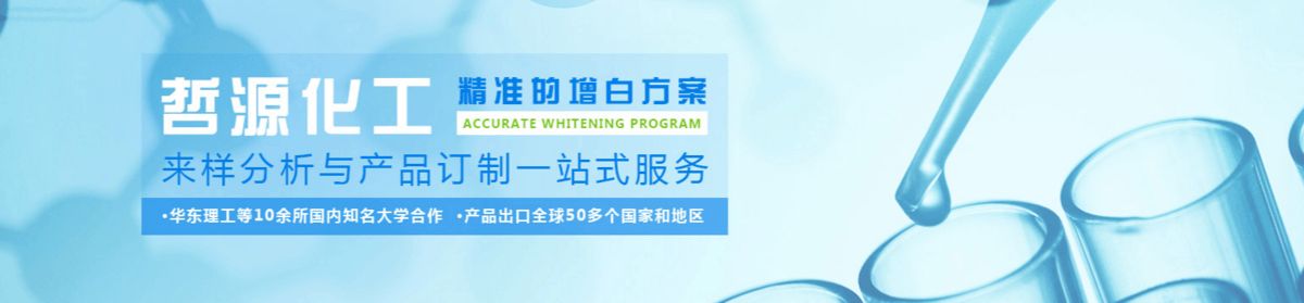 山东哲源化工有限责任公司