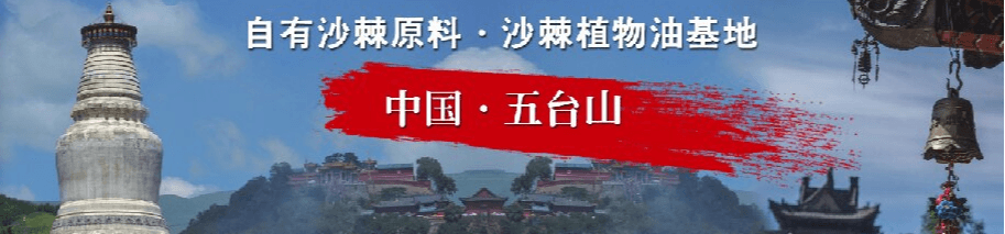 山西五台山沙棘制品有限公司