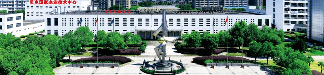 安徽贝克制药股份有限公司