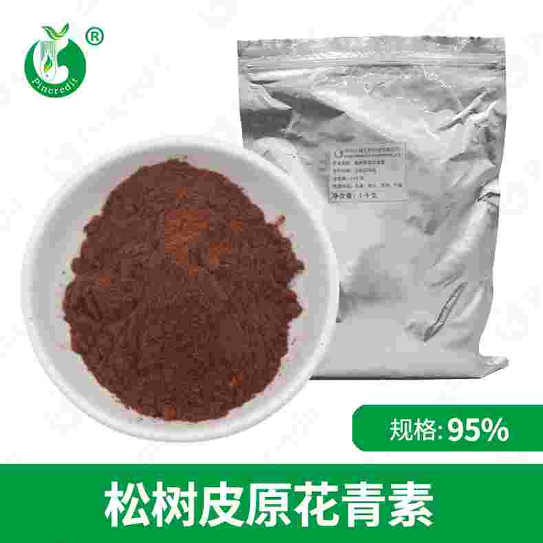 松樹皮提取物  原花青素95% 松樹皮花青素 水溶性 松樹皮提取物95