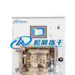 LGJ-20F原位硅油加热冻干机