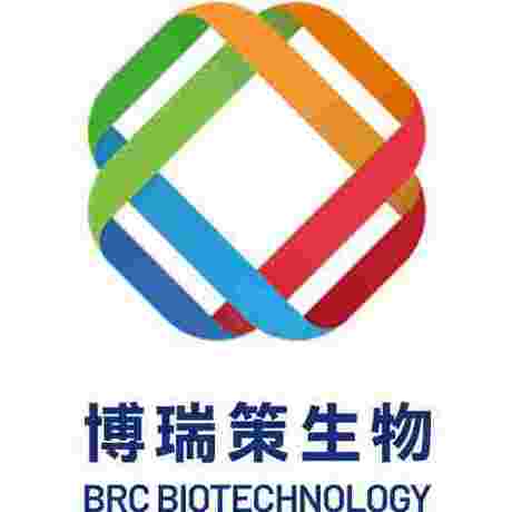 生物制品生物安全检测服务 (Biosafety testing service)