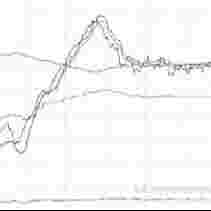 發(fā)酵專(zhuān)用尾氣分析軟件FGASYS