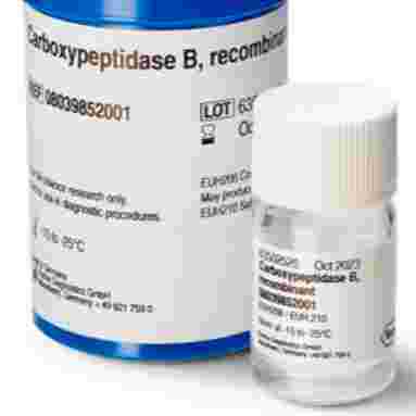 重组羧肽酶B Carboxypeptidase-B (CPB, Recombinant)