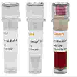 重组双碱基内切酶 Kex-2 Protease (Recombinant)