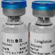 利拉鲁肽 Liraglutide