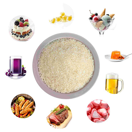 食品添加剂明胶