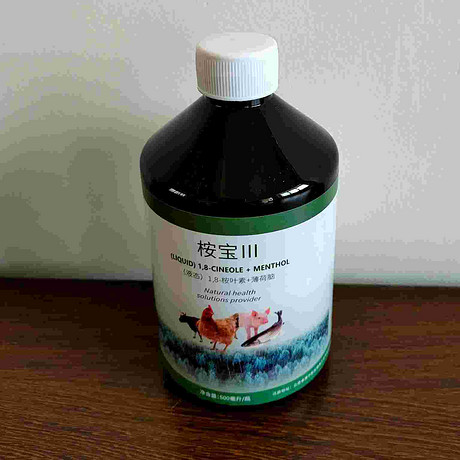 桉宝