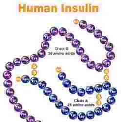 依柯胰岛素 Eco Insulin