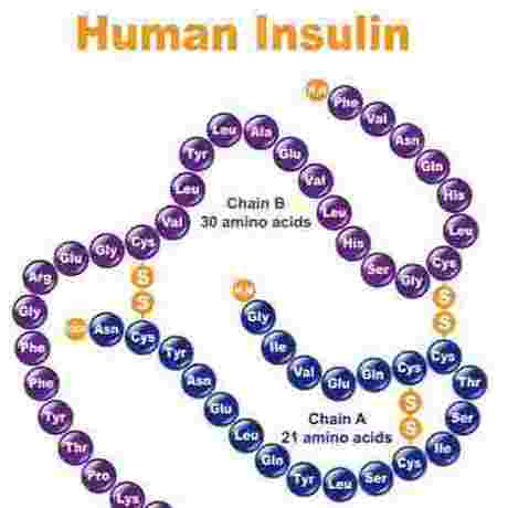 依柯胰岛素 Eco Insulin