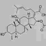 Fusidic Acid