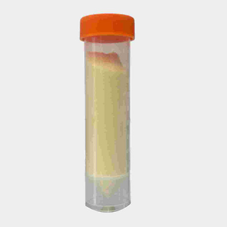 wang resin