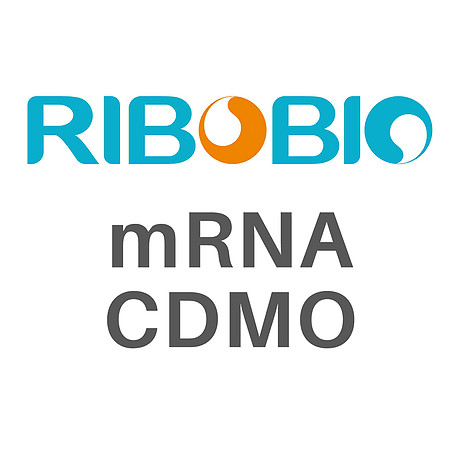 mRNA CDMO服务