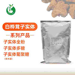 白桦茸子实体提取物