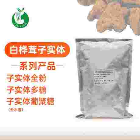白桦茸子实体提取物