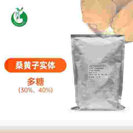 桑黄子实体提取物