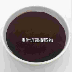 贯叶连翘提取物