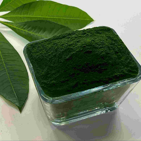 有机小球藻粉