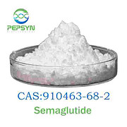 司美格鲁肽（R&D）semaglutide 索玛鲁肽